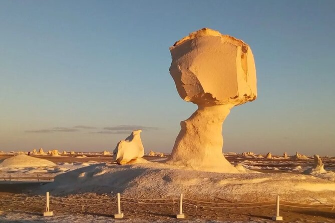 Full Day Private Bahariya Oasis and White Desert Tour from Cairo - Cairo to the Oasis: what the long drive is really doing