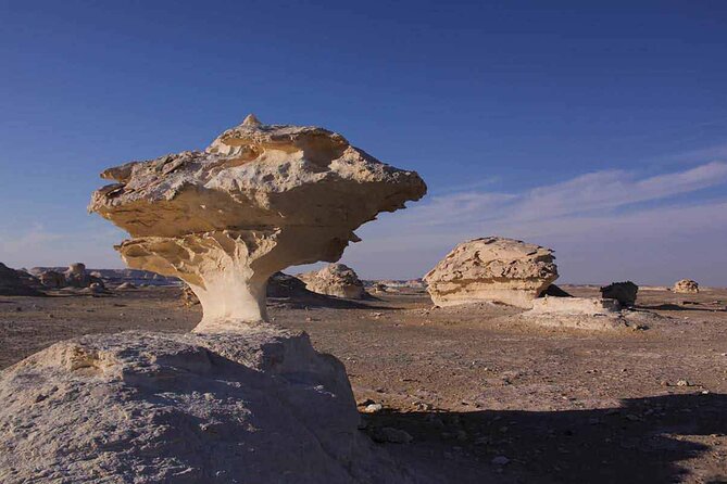 Full Day Private Bahariya Oasis and White Desert Tour from Cairo - Private tour value: why this feels different than hopping buses