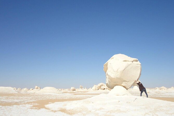 Full Day Private Bahariya Oasis and White Desert Tour from Cairo - Price and value: is $240 per person a fair deal