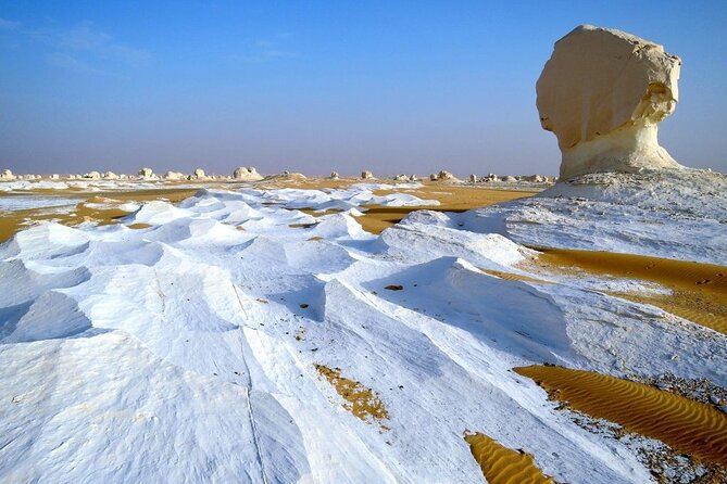 Full Day Private Bahariya Oasis and White Desert Tour from Cairo - Who should book this tour, and who should skip it