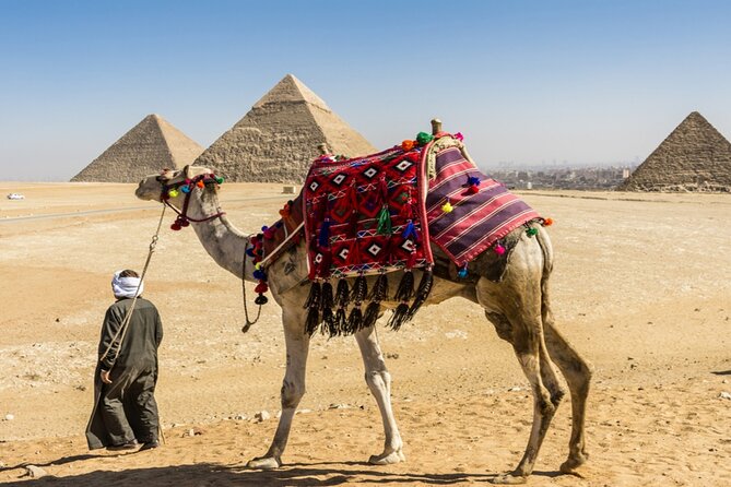 Full Day Private Tour in Giza Pyramids Citadel and Coptic Cairo - Why this Giza, Citadel, and Coptic Cairo day works