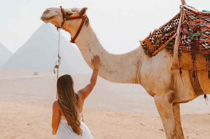 Full Day Tour Giza Pyramids, Sphinx, Saqqara &Dahshur Pyramids - Cheops and Khafre pyramid areas, plus why inside tickets matter