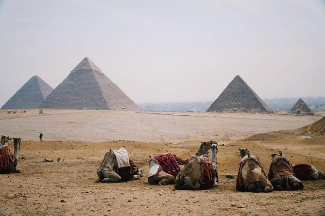 Full Day Tour to Pyramids of Giza, Saqqara Step Pyramids & Sound and Light Show - Sound and Light Egypt at night: the story is the point