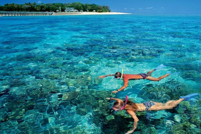 Full Relaxing Day To The Red Sea From Cairo Or Giza Hotel - Red Sea Swimming Time: The Main Event, with Real-World Beach Notes