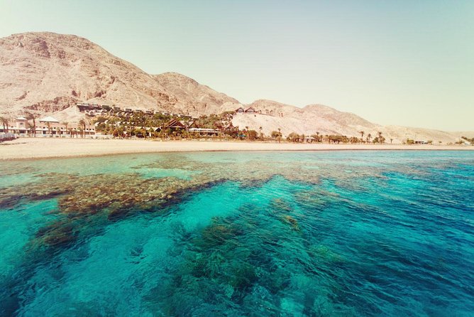 Full Relaxing Day To The Red Sea From Cairo Or Giza Hotel - Price and Value: Is $63 a Good Deal for This Day Trip?