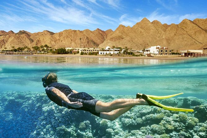 Full Relaxing Day To The Red Sea From Cairo Or Giza Hotel - Getting There: Early Pickup and the Road Trip Pace