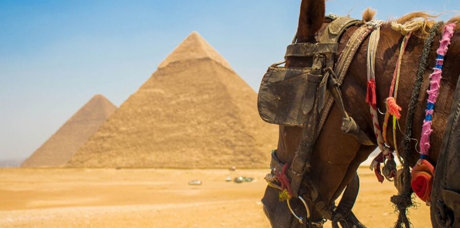 Giza: Arabian Horse Tour Around the Giza Pyramids - The Great Sphinx, Up Close From Outside