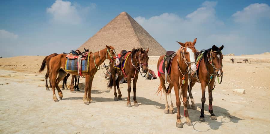 Giza: Arabian Horse Tour Around the Giza Pyramids - Price and Value: What You Get for Around $20