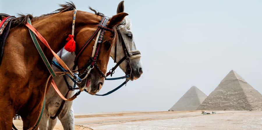Giza: Arabian Horse Tour Around the Giza Pyramids - What to Wear and Bring for a Smooth Ride