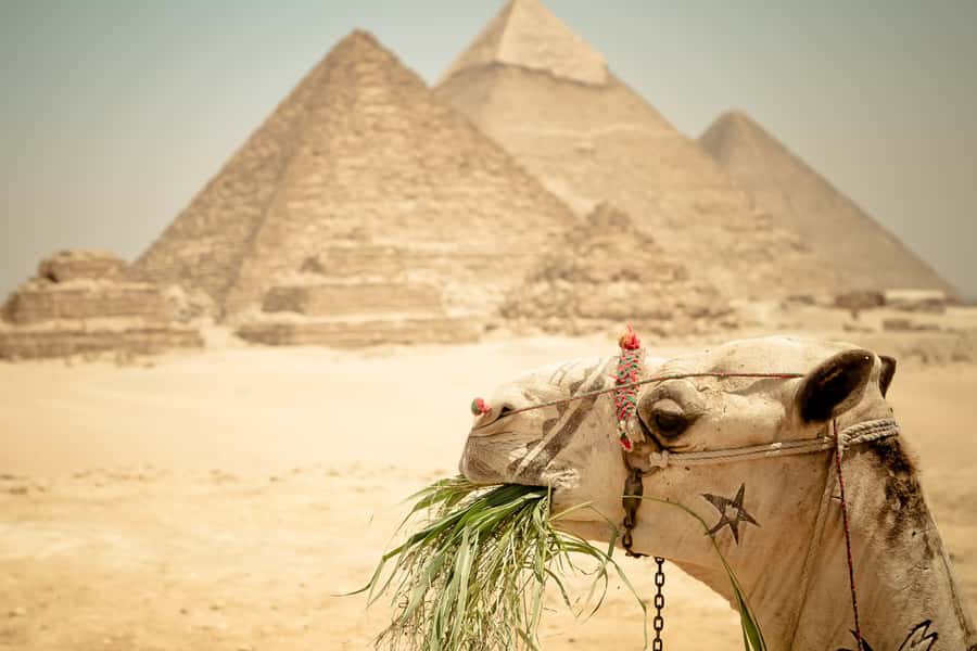 Giza Pyramids and Sphinx: Half-Day Private or Group Tour - FAQ