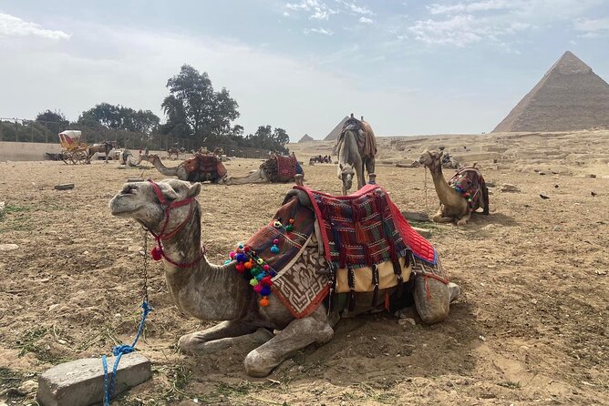 Giza Pyramids,Sphinx,Camel Ride,ATV Bike,Shopping, Dinner cruise - Shopping Stop: How to Get Souvenirs Without Losing Your Day