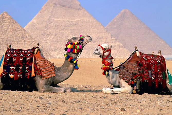 Giza Pyramids, Sphinx, Memphis, Saqqara, with private tour guide - Private guide perks: flexibility that actually shows up in the day