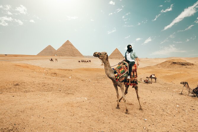 Giza Pyramids , Sphinx ,Saqqara and Memphis Private Tour - Price and logistics: why $15 can be a strong value, and what to watch