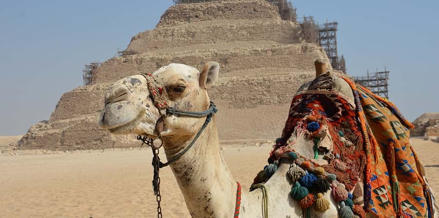 Giza: Sakkara, Memphis & Dahshur (Pyramid & Felucca Options) - What to Pack, Wear, and Plan for Heat