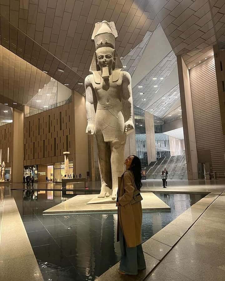 Grand Egyptian Museum Private Guided Tour(GEM) - Tutankhamun, all together: what makes this collection a special stop