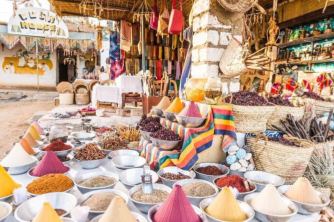 Half-Day Aswan Nubian Village Private Motorboat Tour - Should you book this Aswan Nubian village private boat tour?