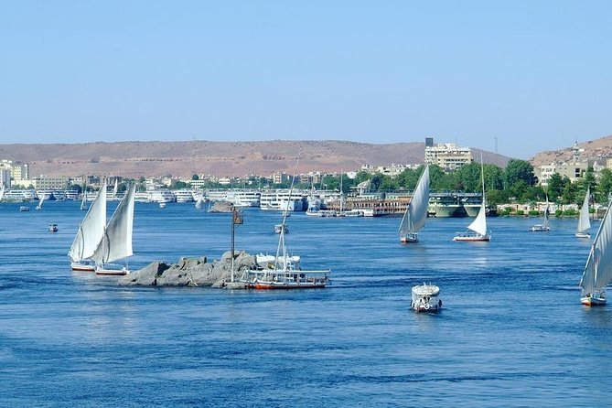 Half-Day Aswan Nubian Village Private Motorboat Tour - Sohail Island, Nubian village life, and what happens at the house
