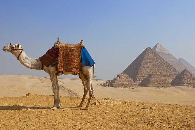 Half day at the pyramids and the Sphinx - Key things to know before you go
