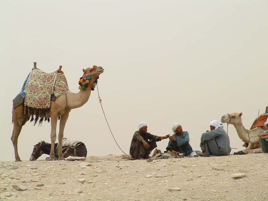 Half-Day Cairo Sightseeing Tour to Pyramids of Giza & Sphinx - Key things I’d zero in on before you book
