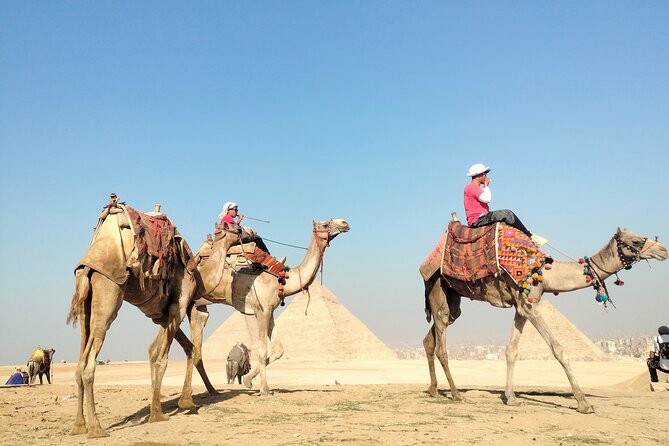 Half day Giza pyramids and Sphinx tour with an Egyptologist - Included versus not included: tickets, tipping, and what you might add