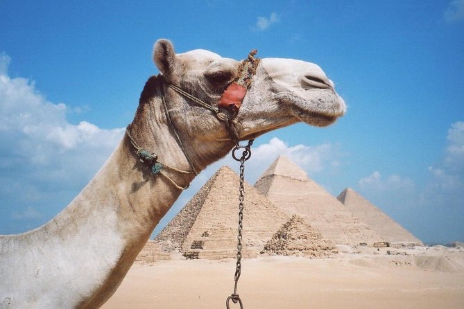 Half-Day Private tour to Pyramids of Giza and Sphinx - Papyrus Institute option: learn art craft, or skip it