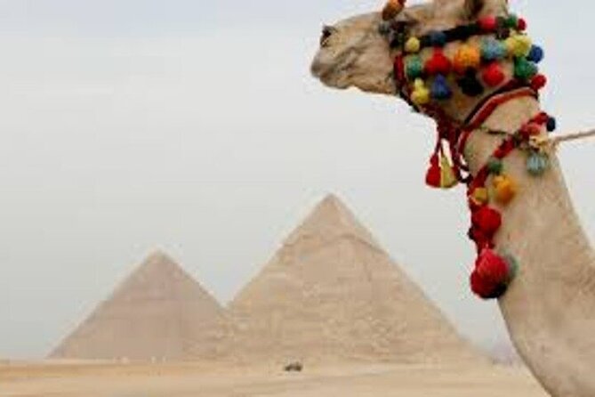 Half Day Tour To Giza Pyramids And Sphinx - How the Guide Commentary Helps You Make Sense of Everything