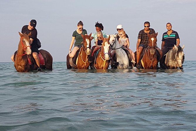 Horse Riding 3 Hours Beach, Desert, & Swimming By Horse in red sea - Hurghada - The Big Idea: Desert to Beach to Red Sea Swim on Horseback