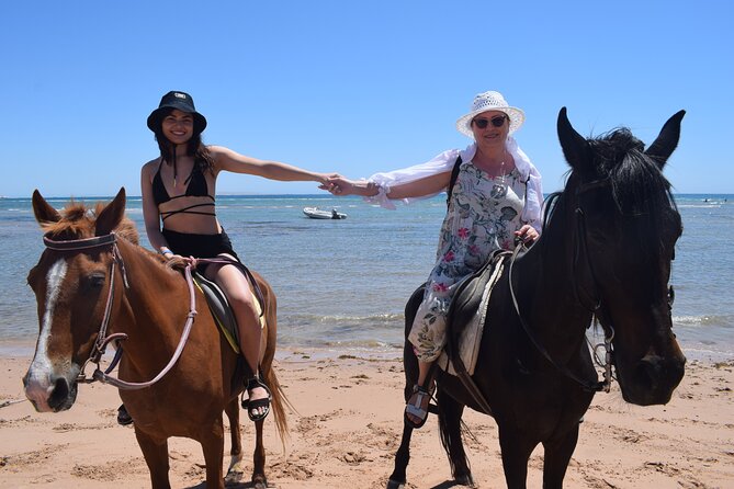 Horse Riding 3 Hours Beach, Desert, & Swimming By Horse in red sea - Hurghada - From Your Hurghada Hotel to the Stables: The Transfer Factor