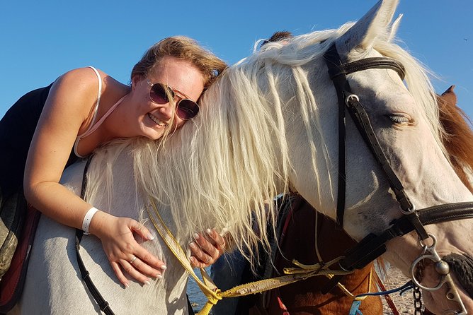 Horse Riding Tour 2 Hours on Sea And Desert & Transfer -Hurghada - Key highlights worth knowing