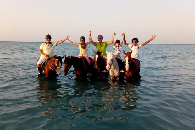 Horse Riding Tour 2 Hours on Sea And Desert & Transfer -Hurghada - Riding Egyptian Horses From Hurghada Beach to Desert Dunes