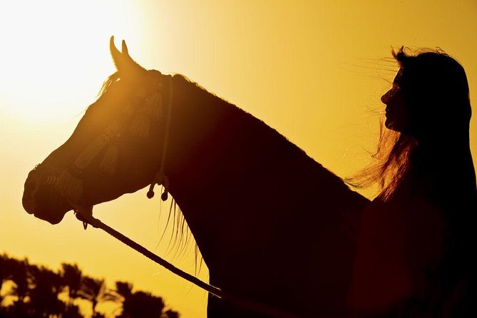 Horse Riding Tour 2 Hours on Sea And Desert & Transfer -Hurghada - Price and Value: $14 Plus the Extra Cash Fees to Budget