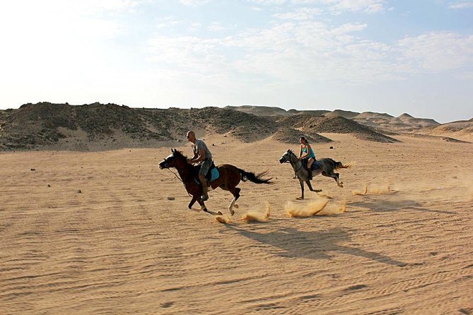 Horse Riding Tour 2 Hours on Sea And Desert & Transfer -Hurghada - Horse Welfare: The One Red Flag You Should Know How to Spot