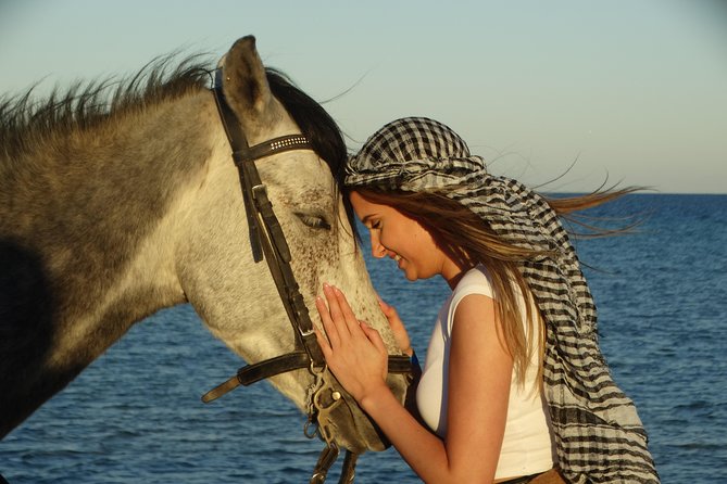 Horse Riding Tour 2 Hours on Sea And Desert & Transfer -Hurghada - Who Should Book This Hurghada Sea-and-Desert Ride