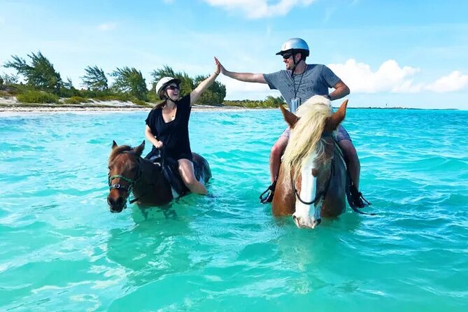 Horseback Riding with Pickup and Drop-off from Sharm El Sheikh - Riding Along the Red Sea, Then Cutting Toward the Desert