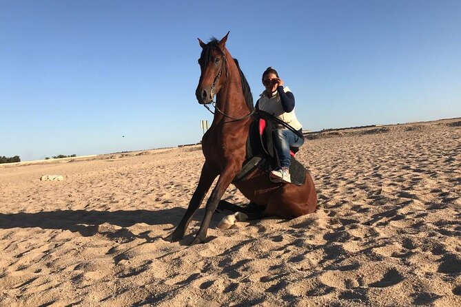 Horseback Riding with Pickup and Drop-off from Sharm El Sheikh - Heat, Water, and What to Wear for a Beach and Desert Ride