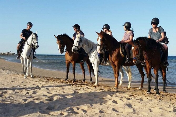 Horseback Riding with Pickup and Drop-off from Sharm El Sheikh - The One or Two Hour Choice, and What It Changes