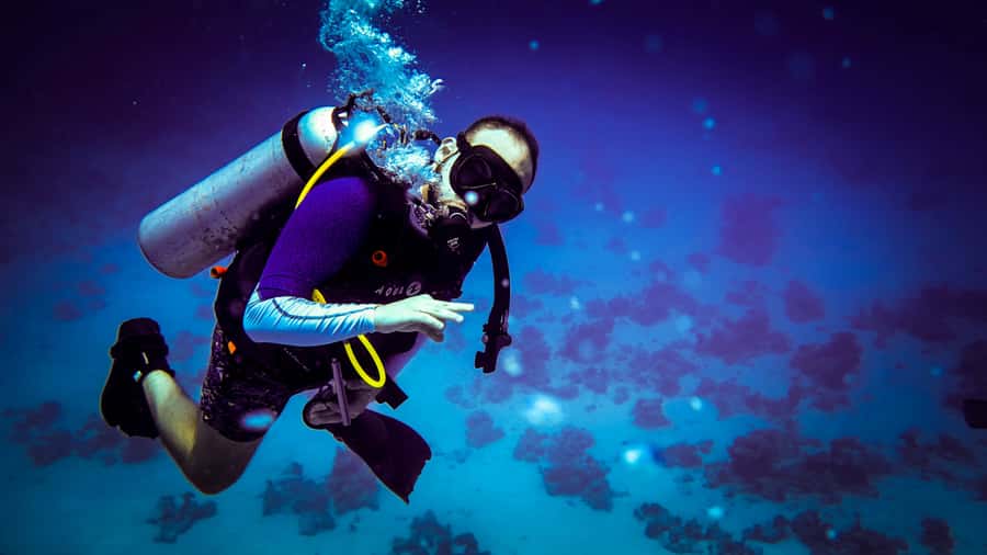 Hurghada: 1, 2, 3, 4, or, 5-Day Scuba Diving Package - The Best and Weakest Sides You Should Expect