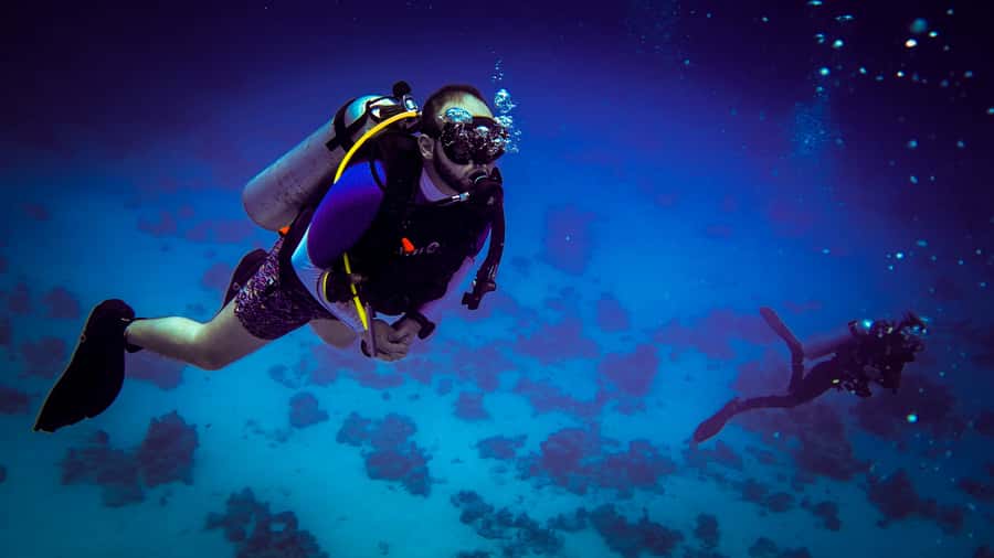 Hurghada: 1, 2, 3, 4, or, 5-Day Scuba Diving Package - The Value of a True 5-Star PADI Setup in Hurghada