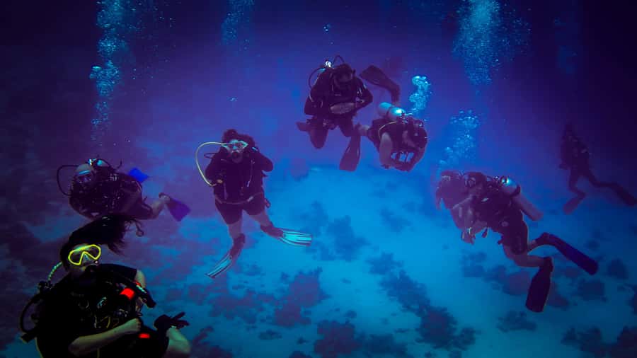 Hurghada: 1, 2, 3, 4, or, 5-Day Scuba Diving Package - Choosing Intro vs 1 to 5 Days: Match the Package to Your Goals