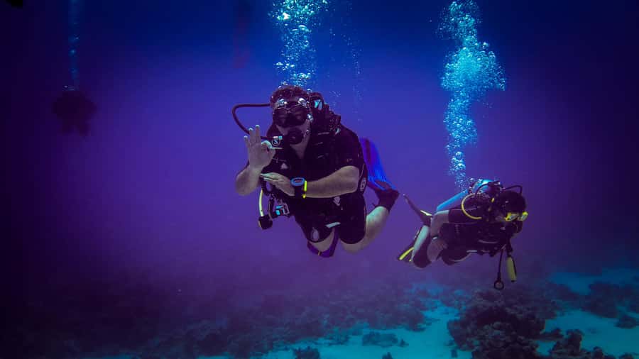 Hurghada: 1, 2, 3, 4, or, 5-Day Scuba Diving Package - Who This Works For, and Who Should Skip It