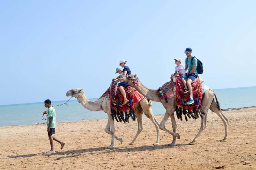 Hurghada: 1-Hour Desert & Beach Camel Ride with Transfers - Quick take: what makes this camel ride worth your time
