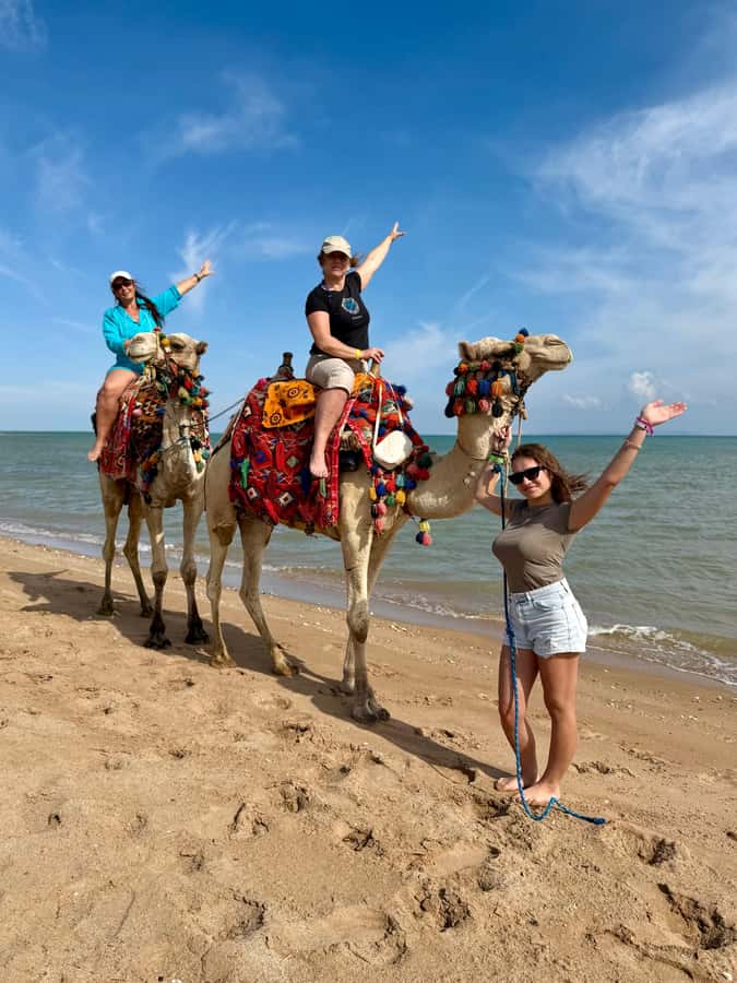 Hurghada: 1-Hour Desert & Beach Camel Ride with Transfers - Lucky Horses Stable: the start point you’ll actually remember
