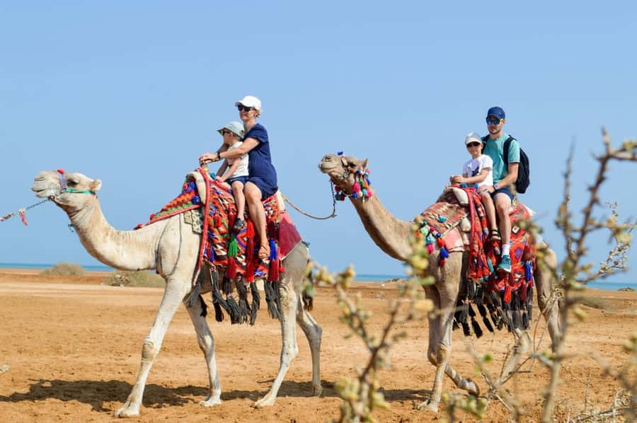 Hurghada: 1-Hour Desert & Beach Camel Ride with Transfers - One hour in two worlds: dunes and the Red Sea beach