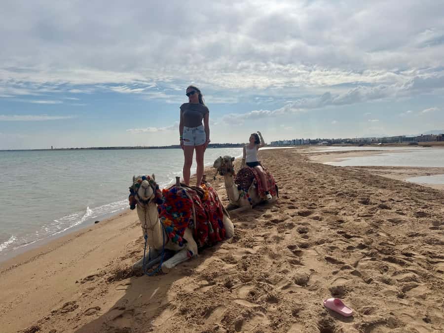 Hurghada: 1-Hour Desert & Beach Camel Ride with Transfers - The full timing you should plan: about 2 hours total