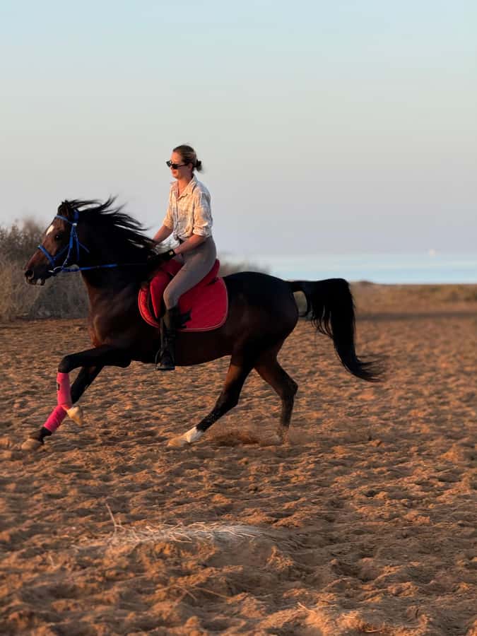 Hurghada: 1-Hour Desert & Beach Camel Ride with Transfers - Inside Lucky Horses Stable: the animals add meaning, not clutter