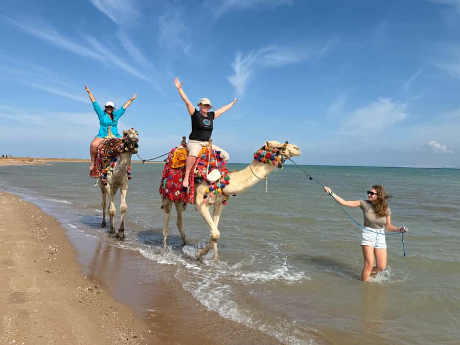 Hurghada: 1-Hour Desert & Beach Camel Ride with Transfers - Who this camel ride is best for