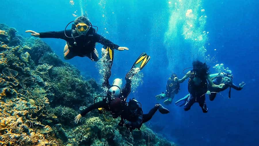 Hurghada: 3-Day PADI Open Water Diving Course - The instructors and small-group coaching style