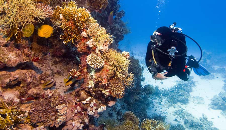 Hurghada: 3-Day PADI Open Water Diving Course - Should you book The Pure Coastal 3-day PADI Open Water course?