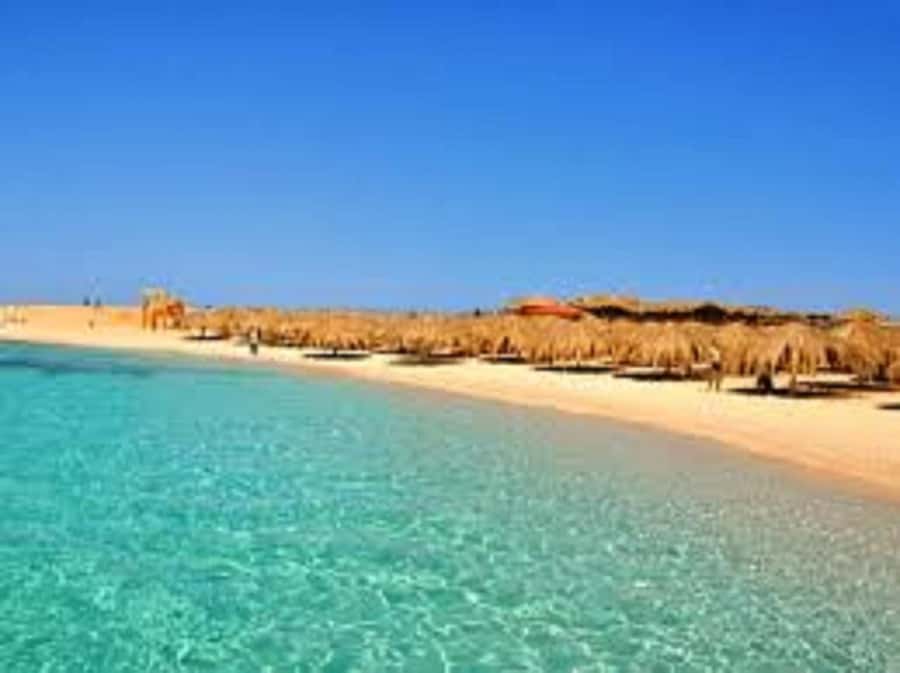Hurghada: 3-Island Speedboat, Dolphin Watching & Snorkeling - Crew, guides, and small details that shape the day
