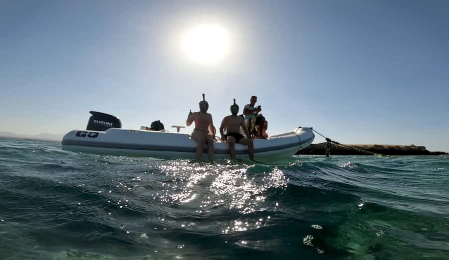 Hurghada: 3-Island Speedboat, Dolphin Watching & Snorkeling - Dolphin watching, and what 80% odds means for your expectations